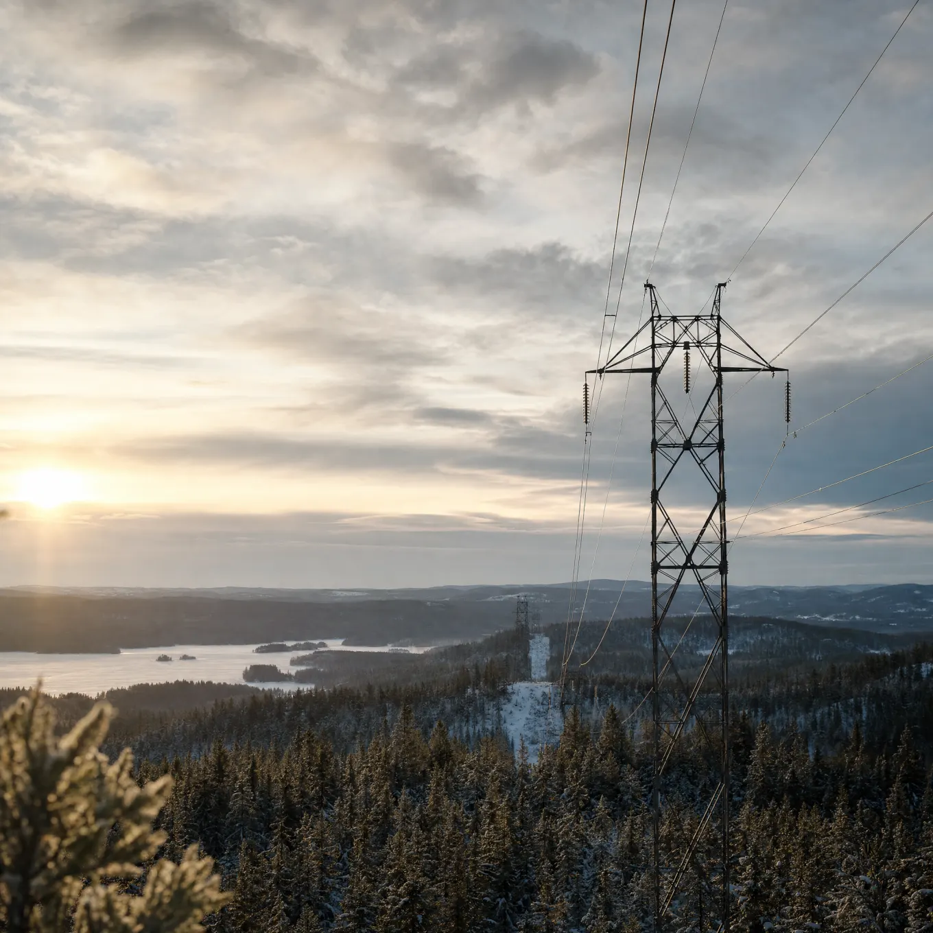 Kraftledning över svensk vinterskog i solnedgång